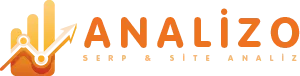 SEO Analiz
